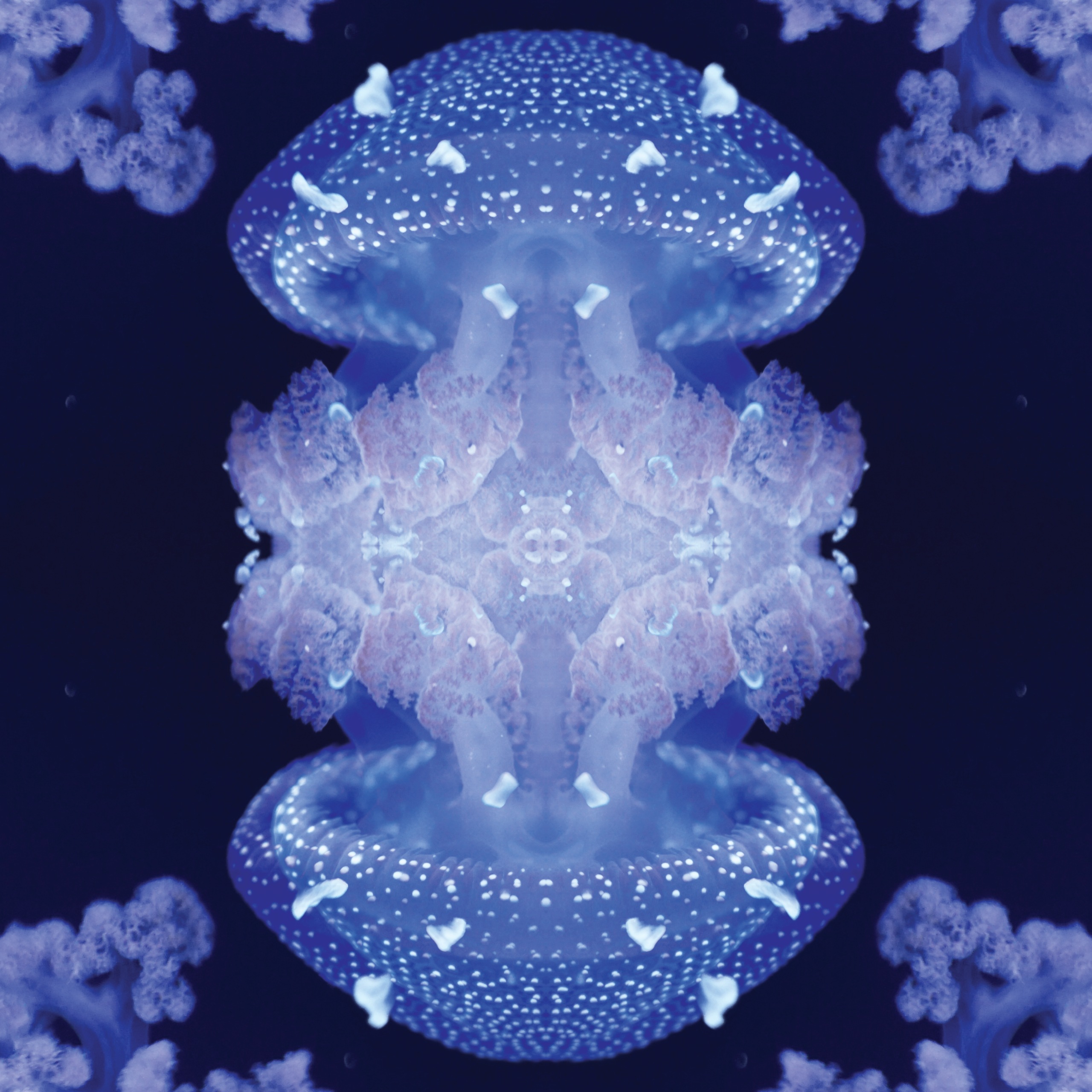 Medusa_4000px Medusa_4000px