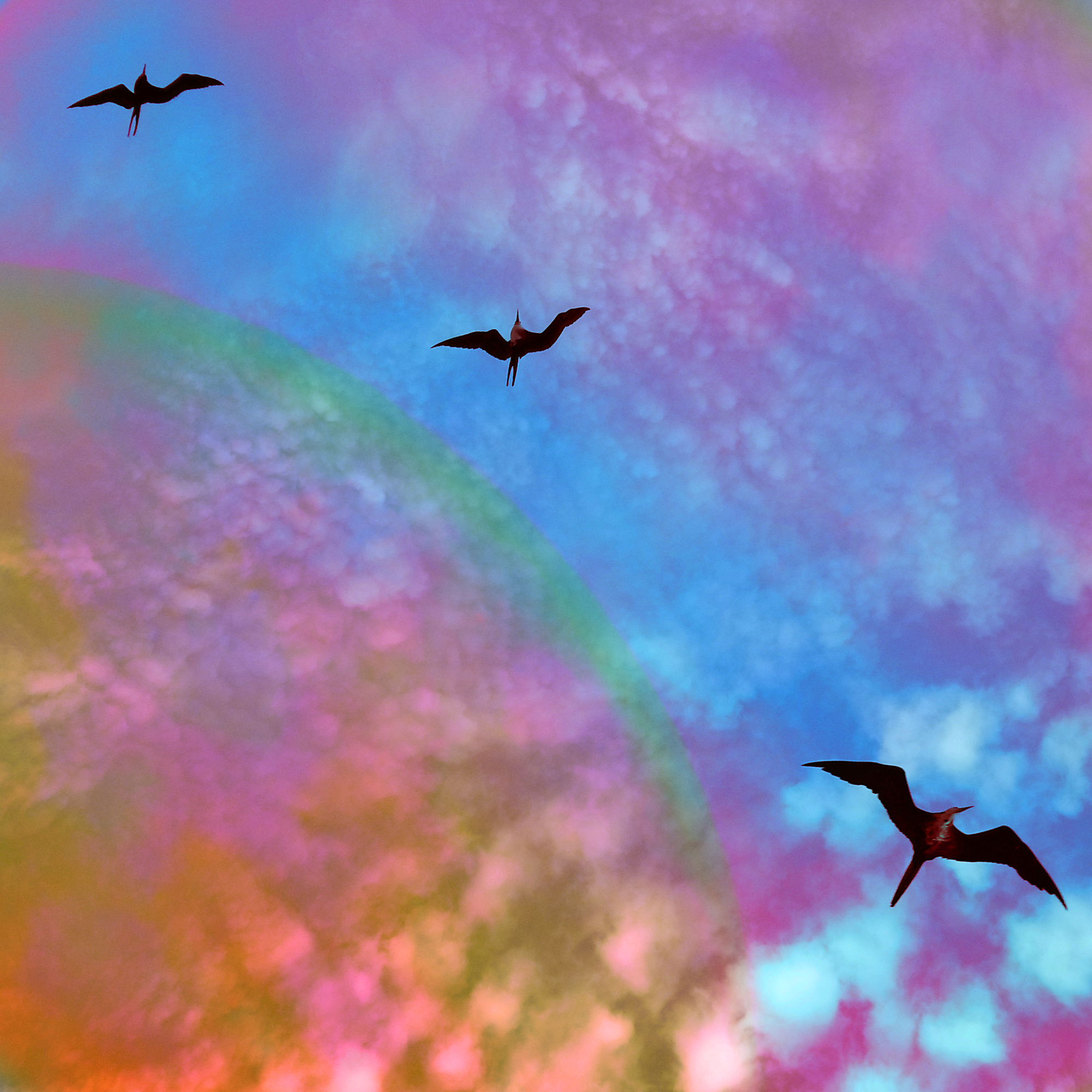 Coverartwork EP Amanda und der Wolff aus dem Leben / Alix Bischoff